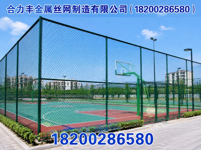 郫都区球场围网展示图